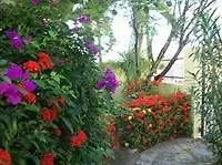 Bayville Holiday Apartment Port of Spain Trinidad And Tobago