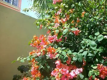 Bayville Holiday Apartment Port of Spain 0*,