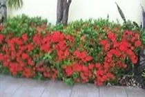 Bayville Holiday Apartment Port of Spain 0*,  Trinidad And Tobago
