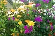 Bayville Holiday Apartment Port of Spain