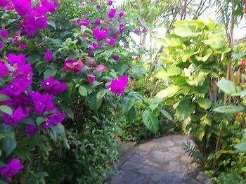 Bayville Holiday Apartment Port of Spain