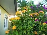 Bayville Holiday Apartment Port of Spain